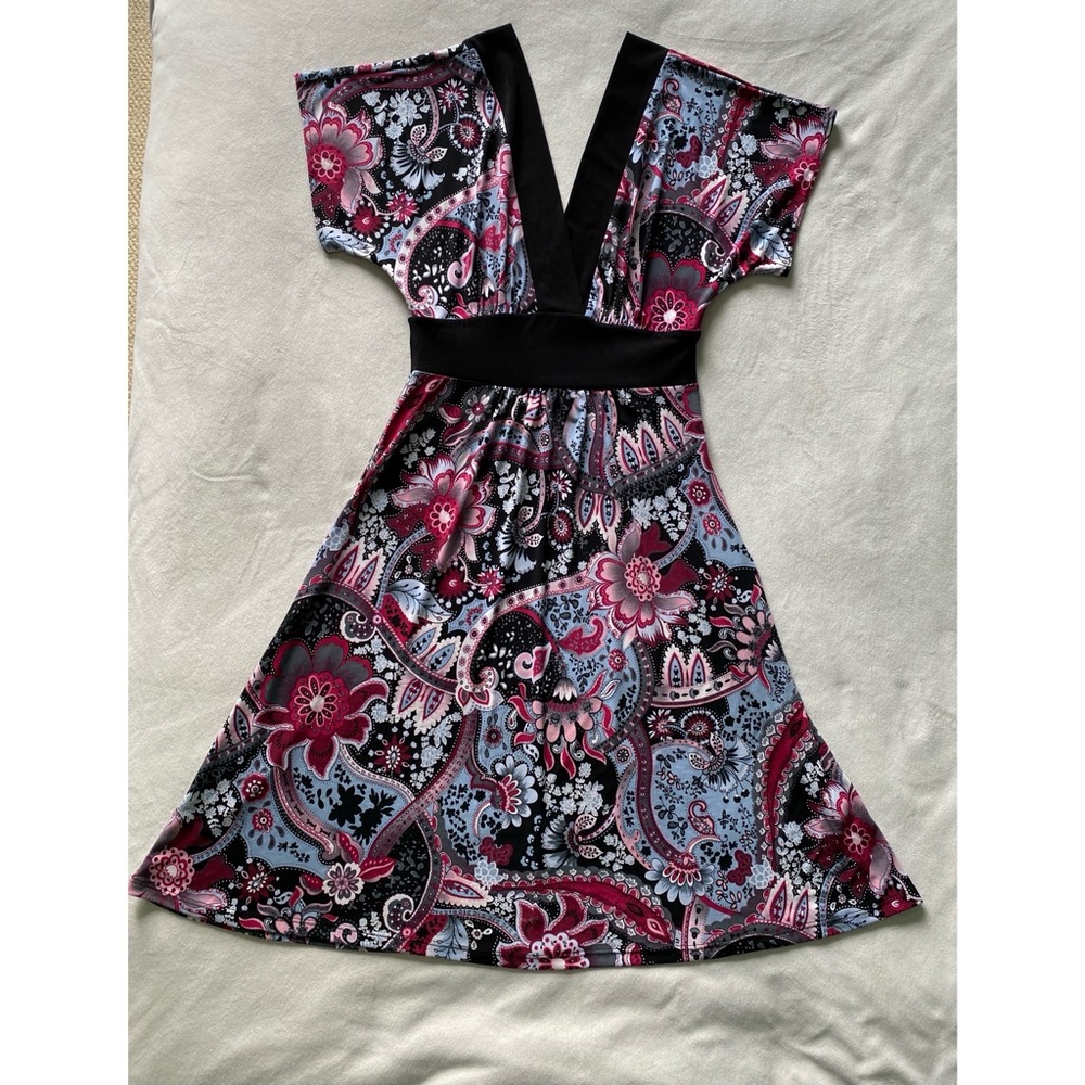 Velvet Torch Dress - Picture 1 of 5